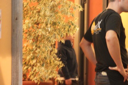 Paul hilft dem Kellner im spanischen Restaurant © KidsAway Paul hilft dem Kellner im spanischen Restaurant © KidsAway