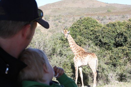 Aug in Aug mit einer Giraffe (Jeepsafari im Buffalo Hills Game Reserve) © Kerstin Aug in Aug mit einer Giraffe (Jeepsafari im Buffalo Hills Game Reserve) © Kerstin