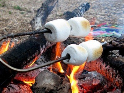 Marshmallows am Lagerfeuer - lecker, günstig und ein Abenteuer! © FlickR/OakleyOriginals Marshmallows am Lagerfeuer - lecker, günstig und ein Abenteuer! © FlickR/OakleyOriginals