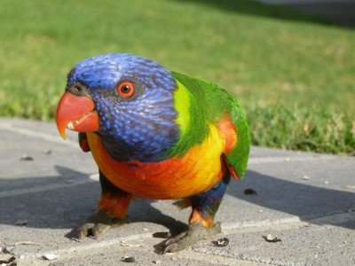 Eine bunte Überraschung auf dem Campingplatz © Margarethe Pfeifer Eine bunte Überraschung auf dem Campingplatz © Margarethe Pfeifer