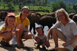 Die Strombergs in Pinnawela