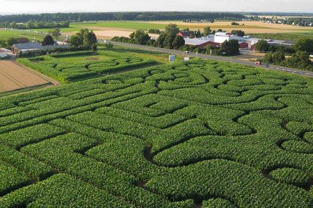 Dieses Maislabyrinth liegt am Erdbeerhof Münch im Odenwald © Flickr/LARP-Welt Dieses Maislabyrinth liegt am Erdbeerhof Münch im Odenwald © Flickr/LARP-Welt
