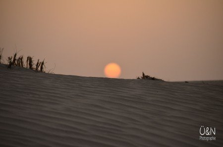 Abends in der Wüste - wenn die Temperaturen erträglich werden © Überall und Nirgendwo Abends in der Wüste - wenn die Temperaturen erträglich werden © Überall und Nirgendwo