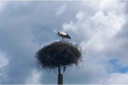 Rumänien - unsere Reise-Überraschung