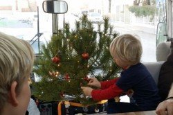 Maxi schmückt den Weihnachtsbaum