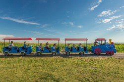 Mit der Bahn in den Familienurlaub - ja oder nein?