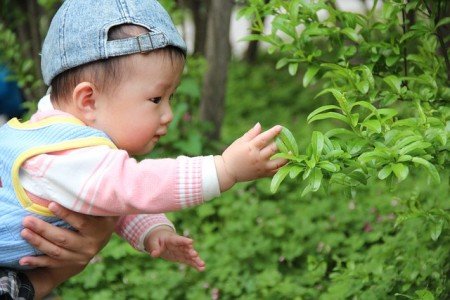 Reiselustige Babys sind gar nicht schwer heranzuziehen © Pixabay Reiselustige Babys sind gar nicht schwer heranzuziehen © Pixabay