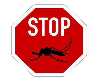 Mücken, nein danke © lantapix/Fotalia