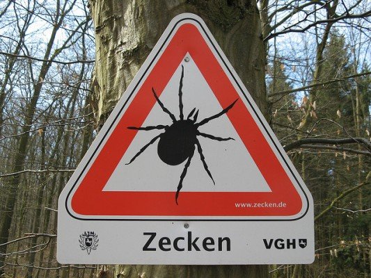 Zeckenalarm!