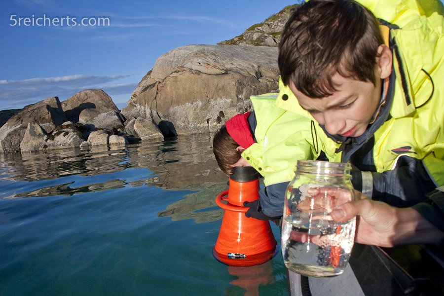 Mit der Walforscherin Heike Vester suchen wir Wale und finden Plankton © Gabi Reichert