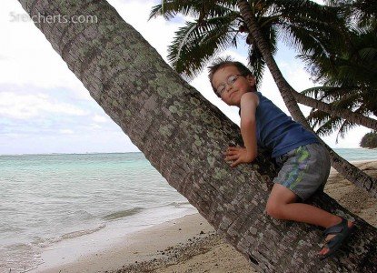Noah fand die Palmen auf Rarotonga besonders gut © Gabi Reichert Noah fand die Palmen auf Rarotonga besonders gut © Gabi Reichert
