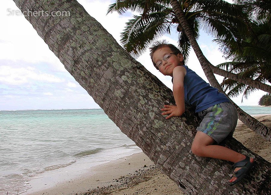 Noah fand die Palmen auf Rarotonga besonders gut © Gabi Reichert