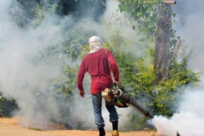 Die Malaria-Überträger werden in vielen Ländern regelmäßig bekämpft © anankkml - Fotolia.com