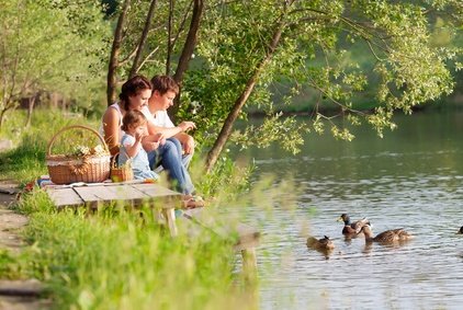 Der ADAC warnt: Enten füttern kann die Wasserqualität verschlechtern © Kyrylo Grekov - Fotolia.com