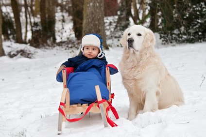 Mit Baby im Schnee unterwegs - ein Schlitten bietet sich an © vgm6 - Fotolia.com Mit Baby im Schnee unterwegs - ein Schlitten bietet sich an © vgm6 - Fotolia.com