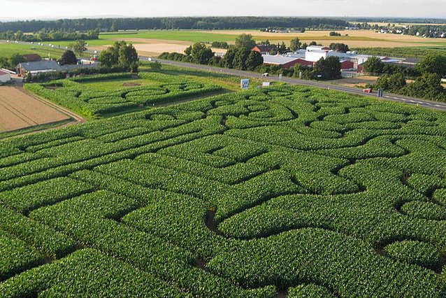 Dieses Maislabyrinth liegt am Erdbeerhof Münch im Odenwald © Flickr/LARP-Welt