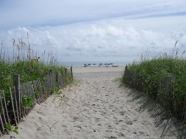 Miami Beach © Flickr/thisreidwrites