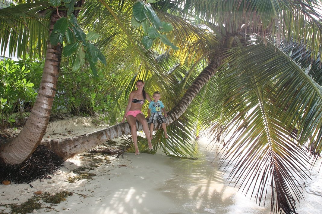 Tropenparadies mit Palmen - die Seychellen halten Wort © www.flind.de