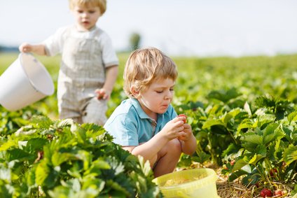Wwoofen ist auch mit Kleinkind möglich! © Irina Schmidt - Fotolia.de