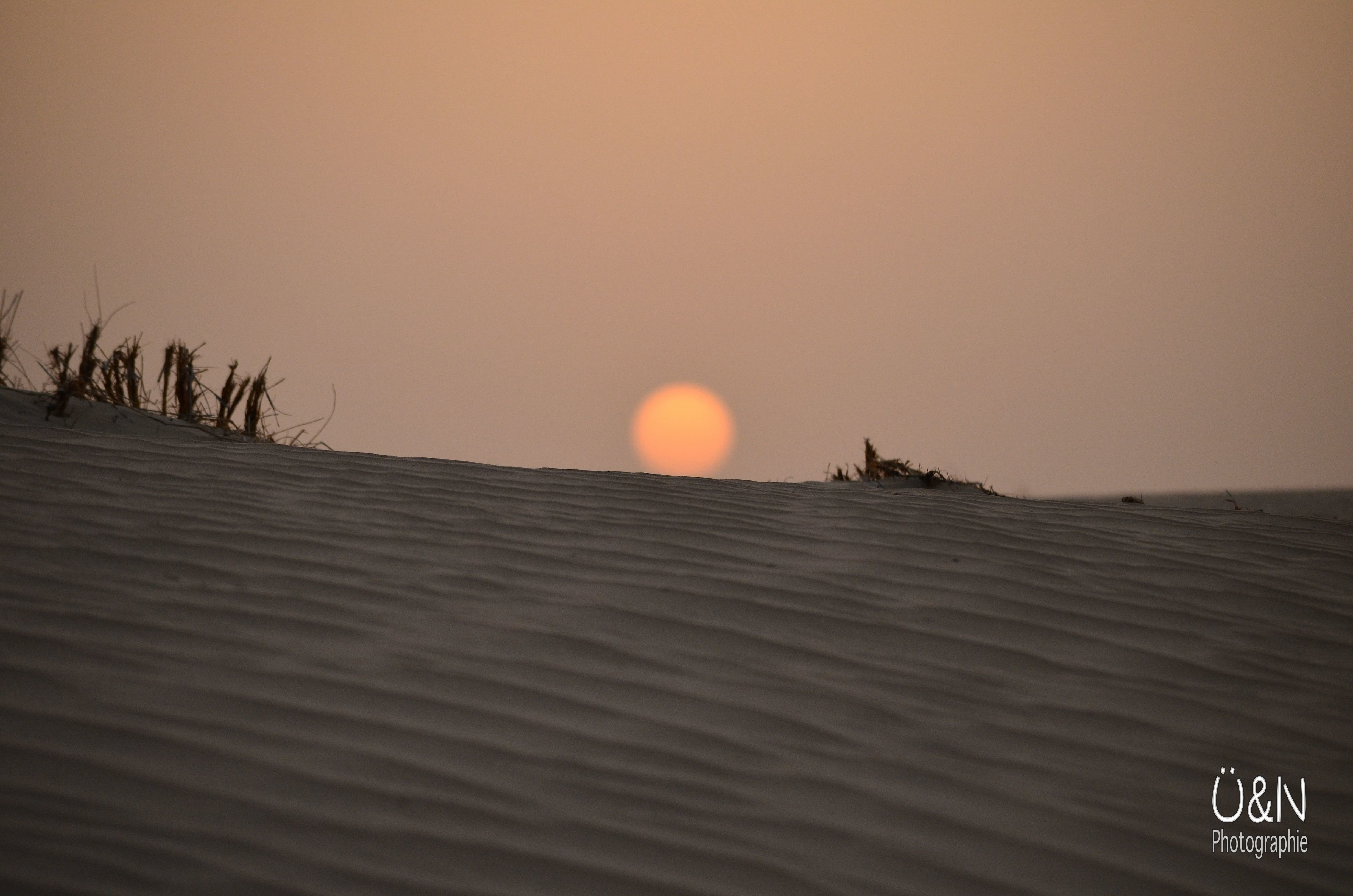 Abends in der Wüste - wenn die Temperaturen erträglich werden © Überall und Nirgendwo
