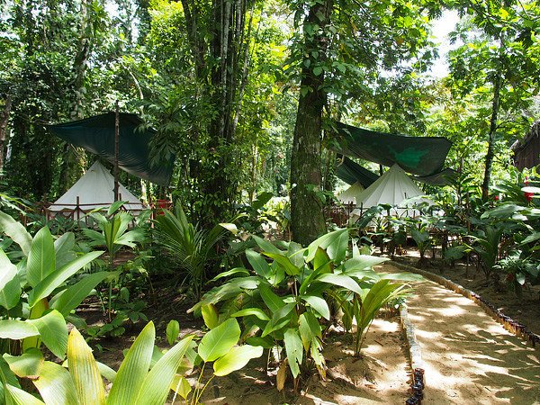 Das "Dschungelcamp" auf der Insel Bastimentos © Lars Lilienthal Das "Dschungelcamp" auf der Insel Bastimentos © Lars Lilienthal