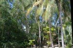 Blick aus dem Palm Bungalow auf Hamilton Island © missbubi