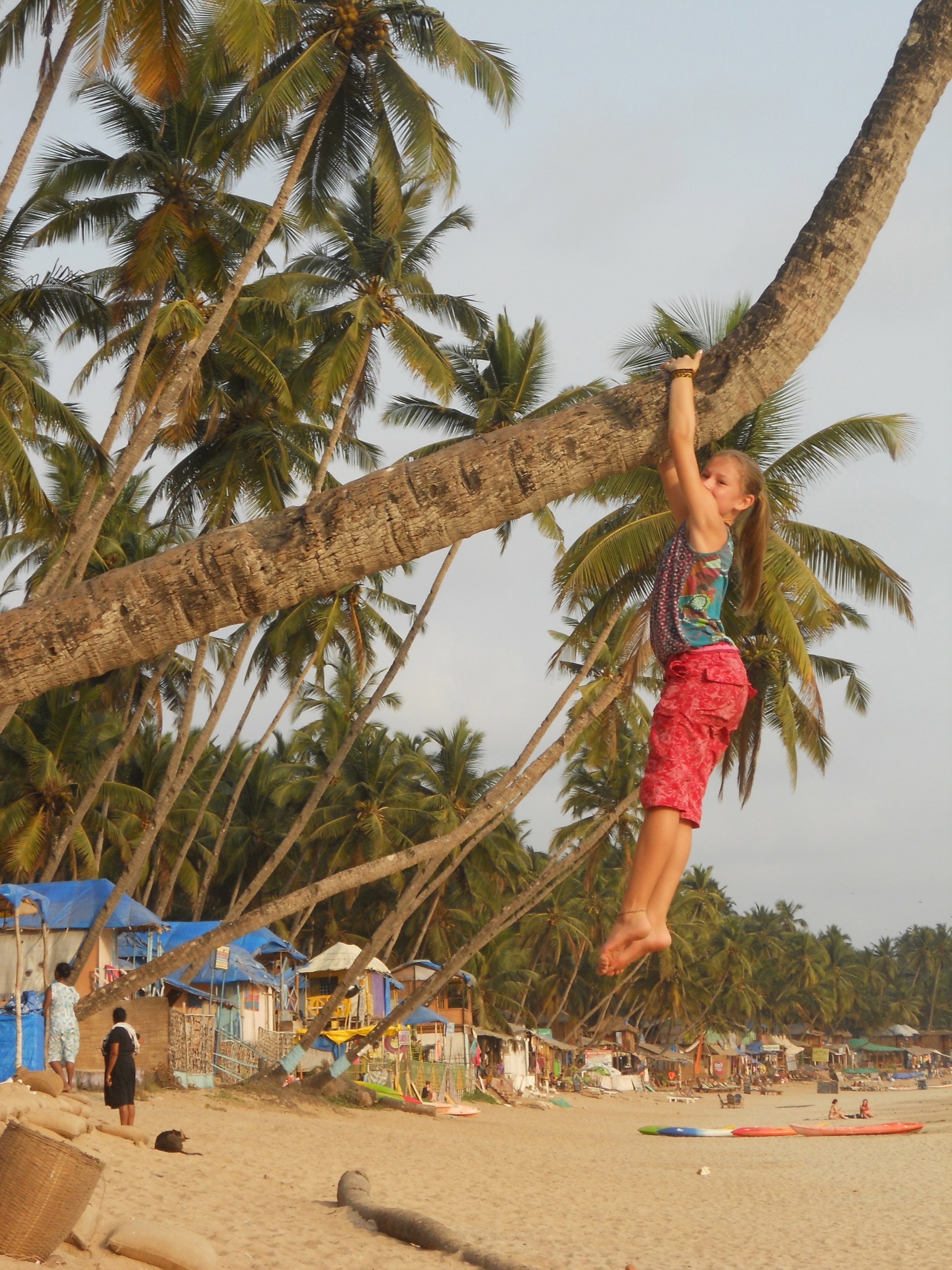 Goa mit Kletteräffchen © larsdani