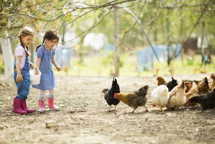 Das Füttern von Tieren macht den meisten Kindern Spaß © Boggy - Fotolia.com 