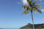 Catseye Beach auf Hamilton Island © missbubi