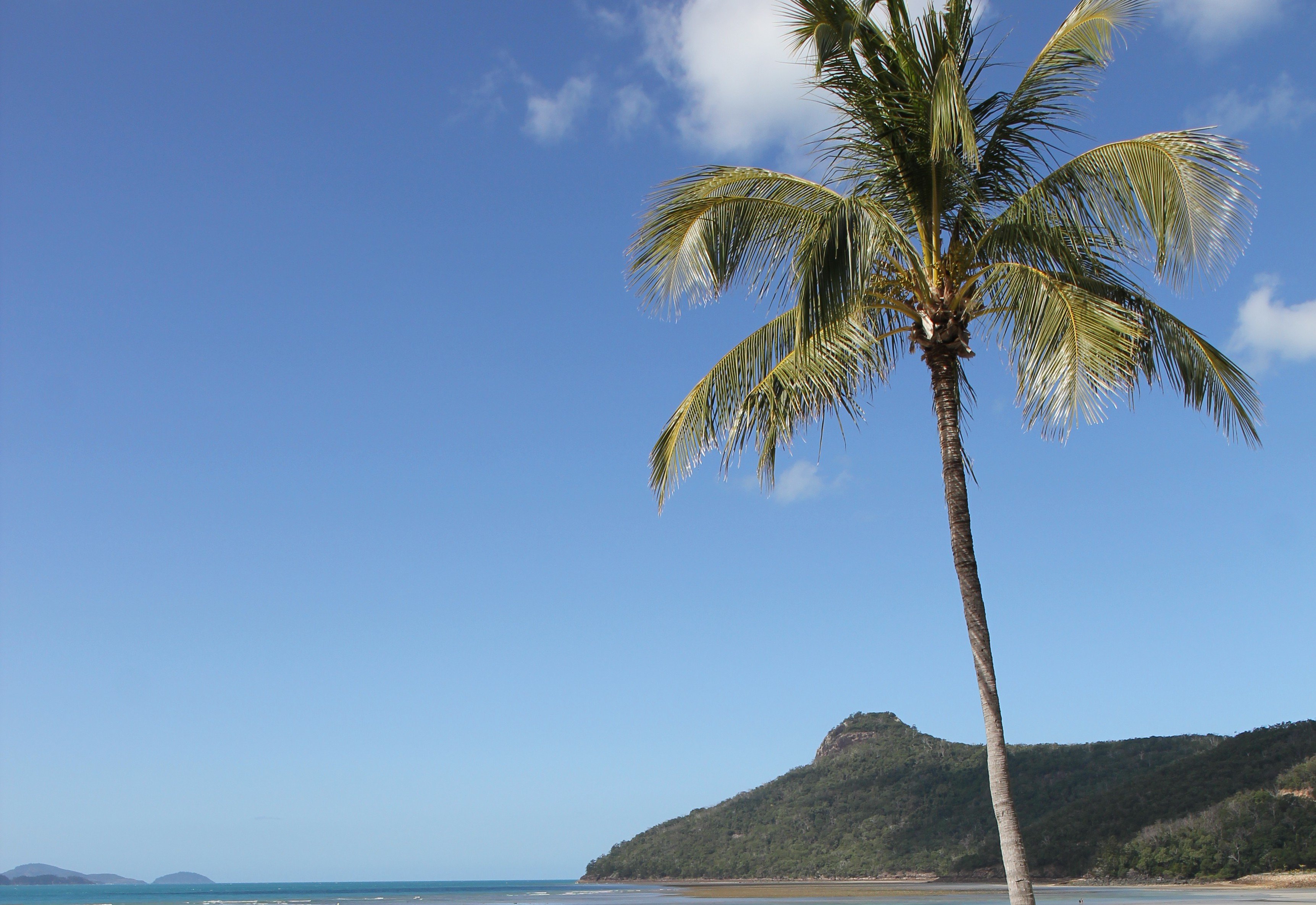 Catseye Beach auf Hamilton Island