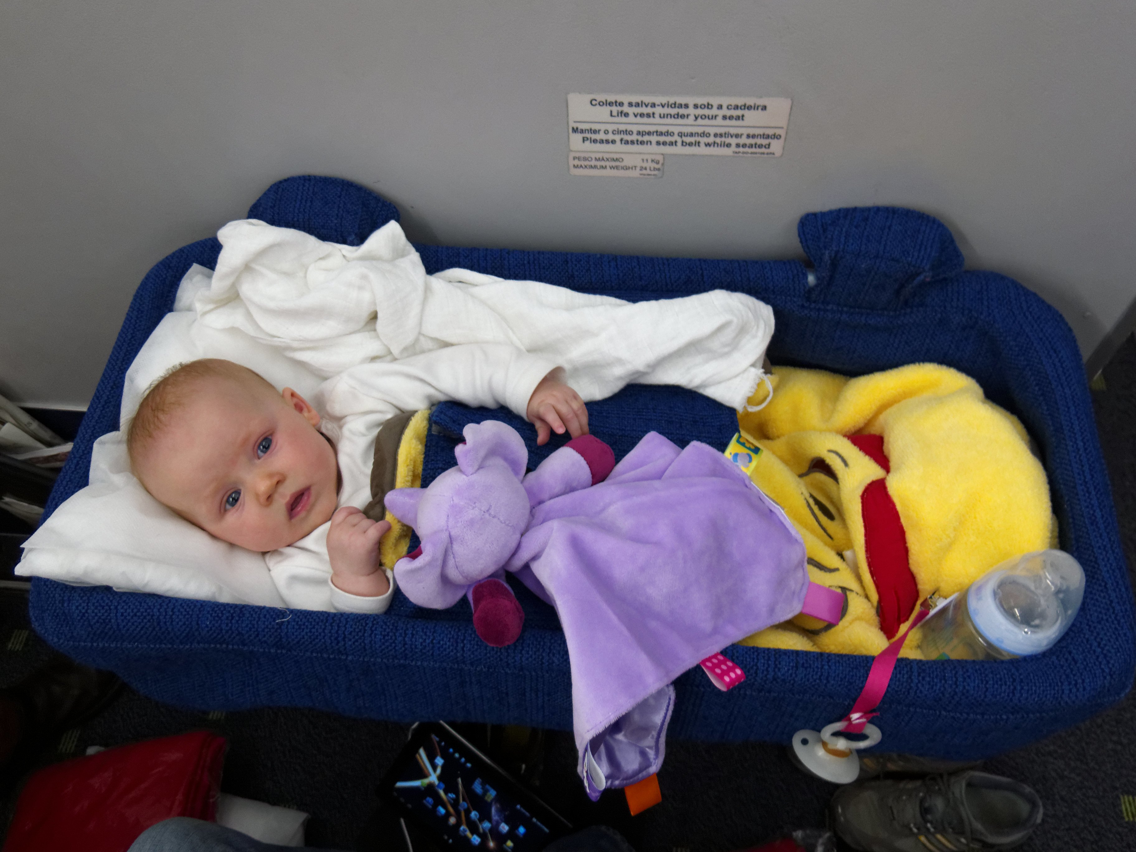Baby fliegen First Class nach Florida.... © Elke76