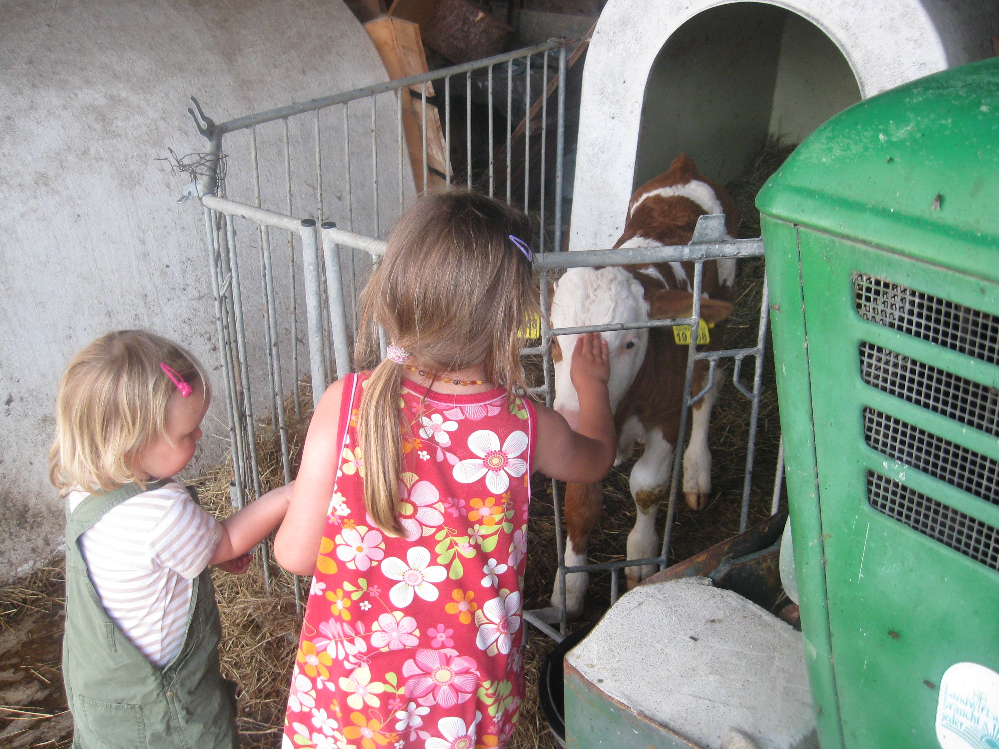 Ferien auf dem Bauernhof © Herby