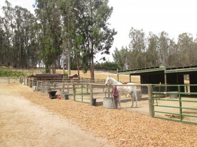 Die "Sweet Pea Farm" in Arroyo Grande/Kalifornien © Kristin Schuster Die "Sweet Pea Farm" in Arroyo Grande/Kalifornien © Kristin Schuster
