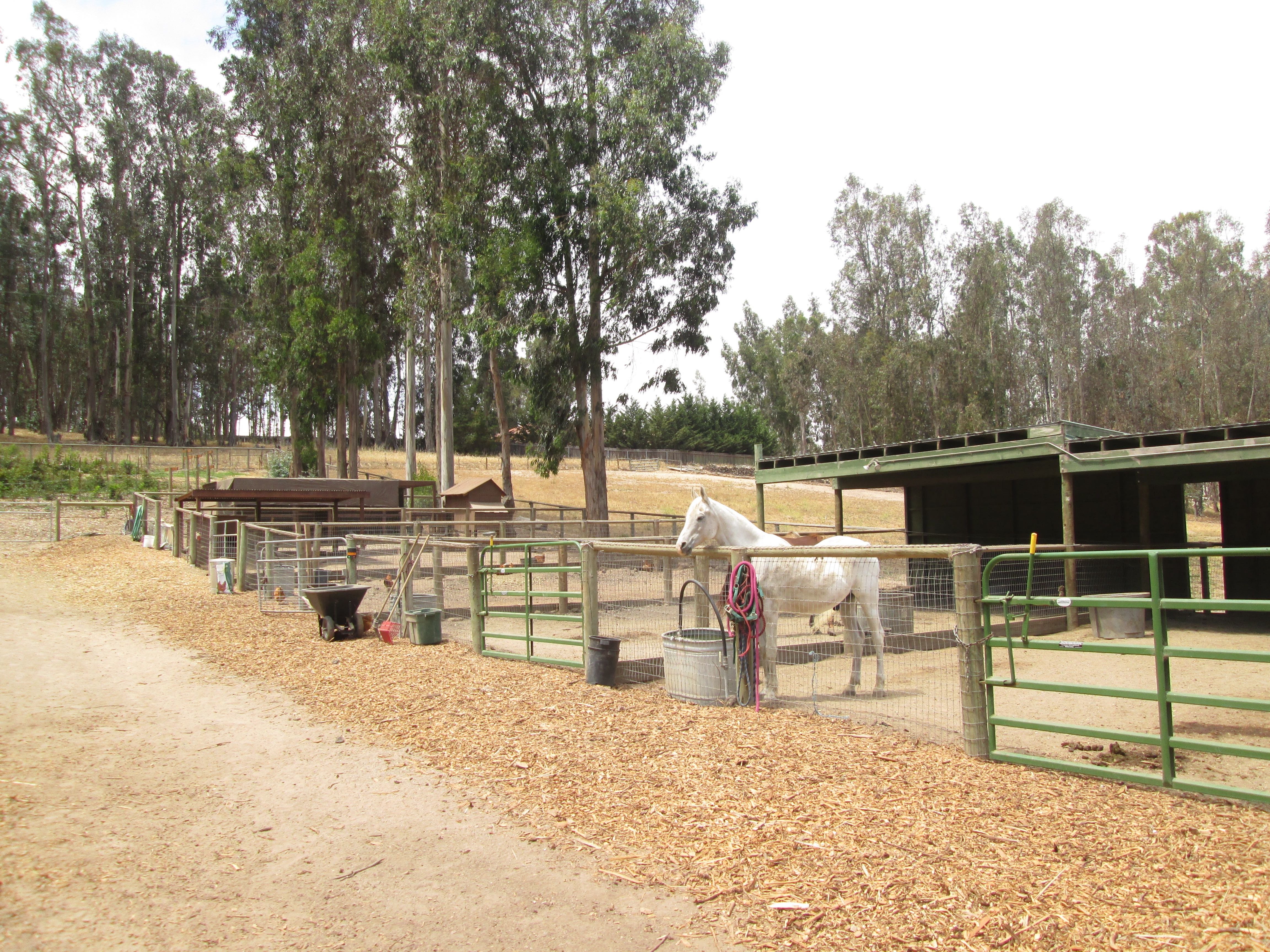 Die "Sweet Pea Farm" in Arroyo Grande/Kalifornien © Kristin Schuster