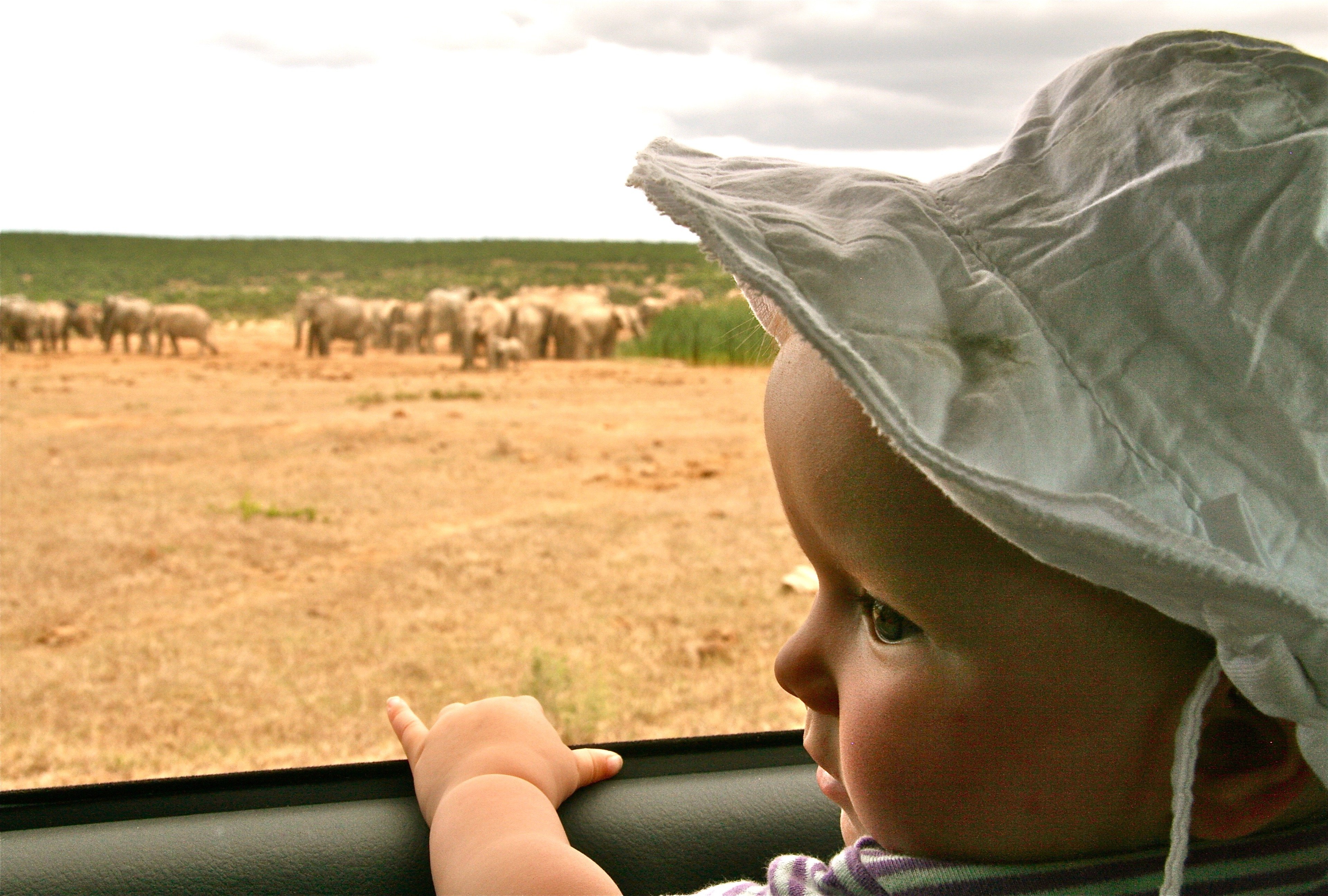 In Südafrika können schon die Kleinsten auf Safari gehen. © Susanne Frank In Südafrika können schon die Kleinsten auf Safari gehen. © Susanne Frank