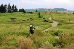 Auf dem Hochland von Utsukushigahara ist es herrlich kühl - und menschenleer © Weltwunderer