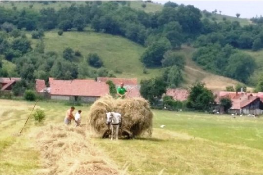 Familien-Landwirtschaft in Rumänien © Travelfamily.de