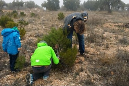 Wir suchen unseren Weihnachtsbaum in der Weite Spaniens © travelfamily.de