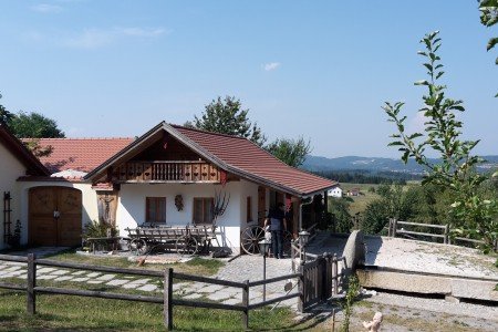 Zwischen Ziegen schlafen - schon recht ungewöhnlich © Stefanie Brehm Zwischen Ziegen schlafen - schon recht ungewöhnlich © Stefanie Brehm