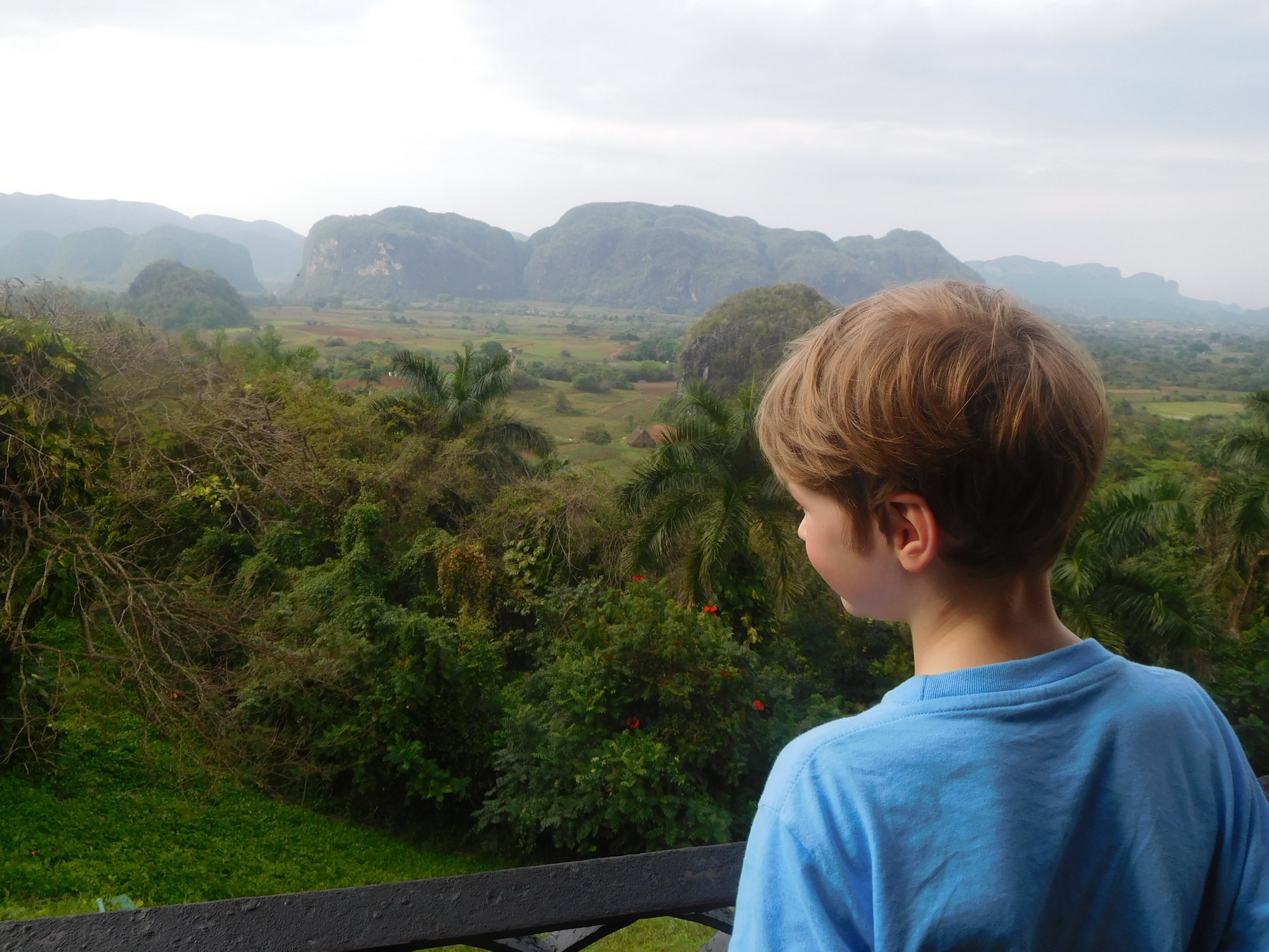 Ausblick auf die Mogotes und das Vinales-Tal © KidsAway.de