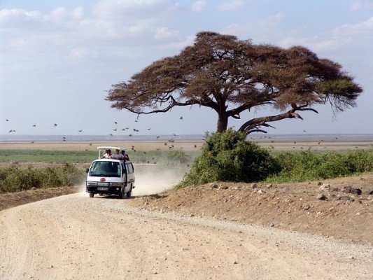 Mit Kindern auf Safari gehen – die wichtigsten Tipps