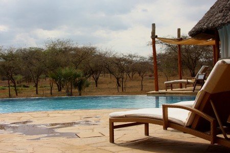 Ein Pool ist Pflicht bei Safari mit Kindern © Pixabay Ein Pool ist Pflicht bei Safari mit Kindern © Pixabay