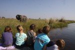 Botswana for family - Tierbeobachtung © For Family Reisen