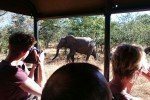 Botswana Teens on Tour - Auf der Prisch © For Family Reisen