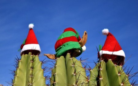 An Weihnachten verreisen oder daheim bleiben? © Pixabay An Weihnachten verreisen oder daheim bleiben? © Pixabay