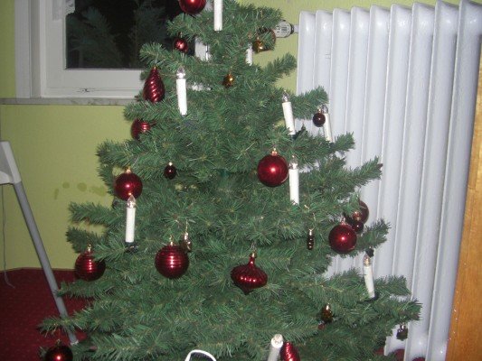 Weihnachtsbaum