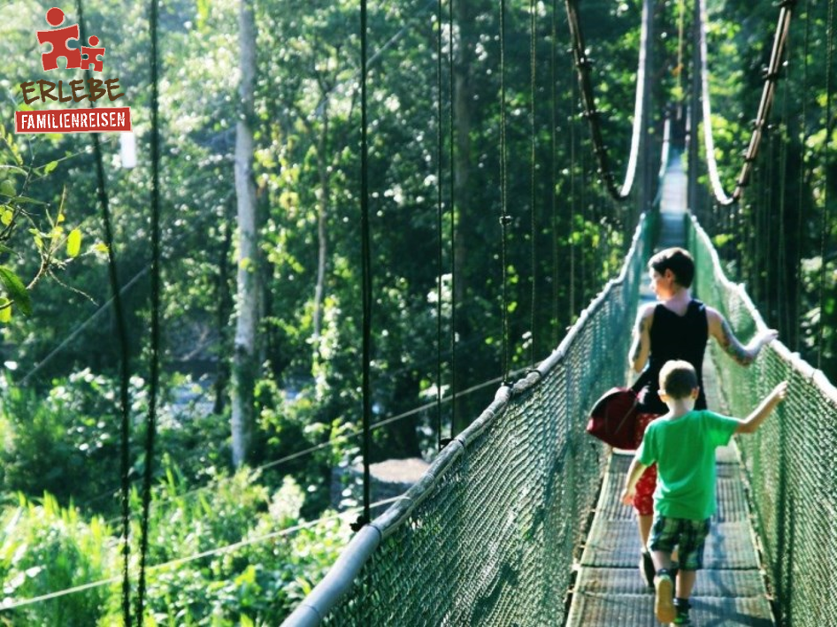 Regenwald in Costa Rica © erlebe-familienreisen.de