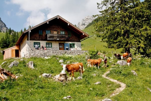 Agrotourismus: Was ihr über die speziellen Ferien auf dem Bauerhof wissen müsst