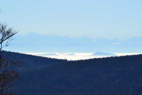 Freiburg im Breisgau: Familienurlaub im Schwarzwald