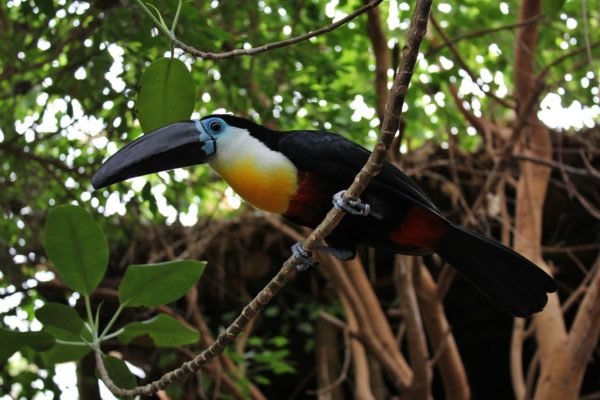 Zoo Duisburg Rheinland Urlaub